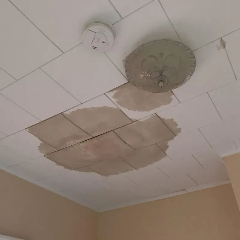 Ceiling Water Damage Repair in Grand Point, LA