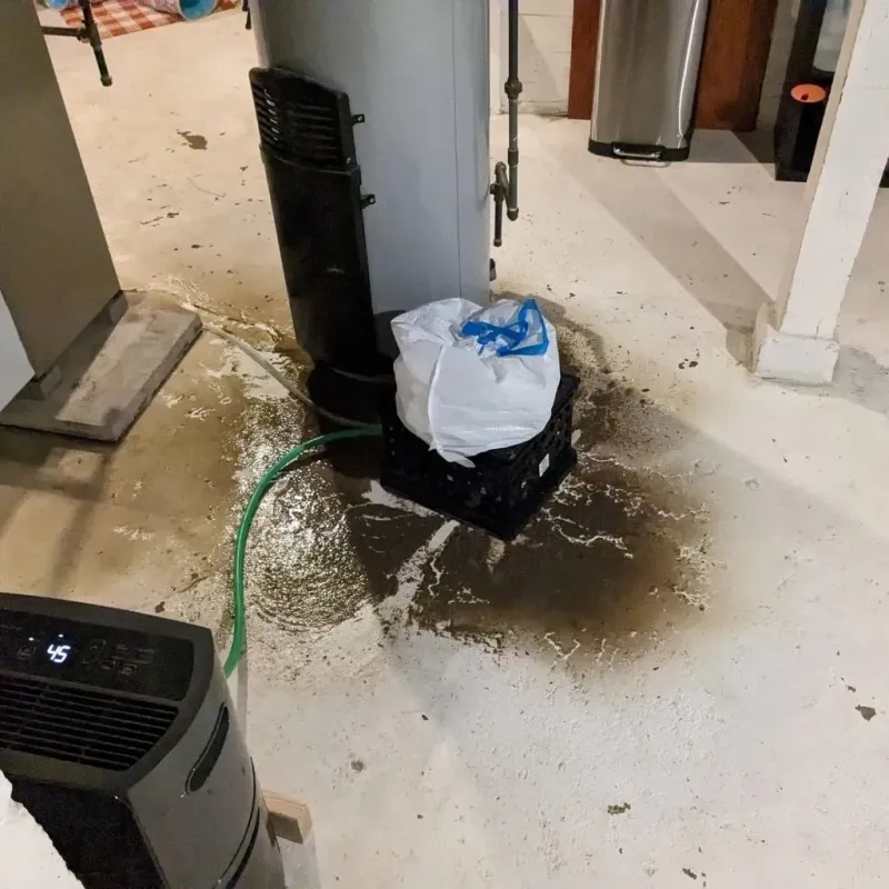 Sewage Backup Cleanup Service in Grand Point, LA